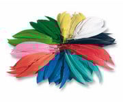 Bunte Federmischung 2