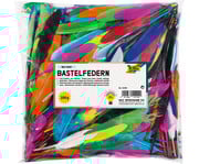 Bunte Federmischung 1