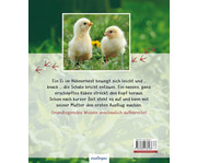 Buch: Das Huhn 2