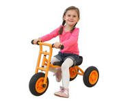 TopTrike Dreirad 2