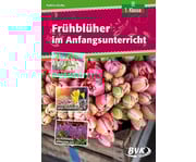 Frühblüher im Anfangsunterricht 1