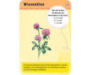 Expedition Natur – 50 heimische Blumen 3