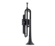 pTrumpet Bb Trompete 1