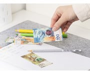 Betzold Rechengeld Schweizer Franken Banknoten 2
