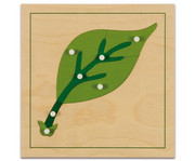 Nienhuis Botanisches Puzzle 1