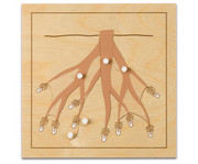 Nienhuis Botanisches Puzzle 1