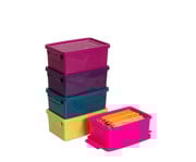 Betzold Aufbewahrungsbox 2