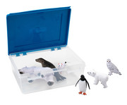 Betzold Arktische und antarktische Tiere 6 teilig 5