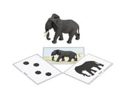 Betzold Tiere zuordnen 6