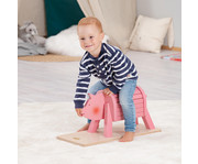 Kleine Reittiere 7