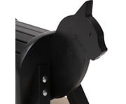 Kleine Reittiere 3