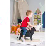 Kleine Reittiere 5