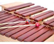 Betzold Bass Xylophon 7