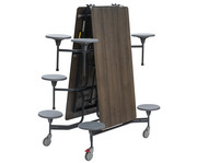 Outdoor Tisch Sitz Kombination rollstuhlgerecht 2