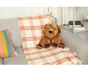 Therapeutische Tiere 6