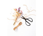 folia Bastelschere 14 5 cm 5