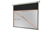Motorleinwand Professional 4