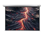 Motorleinwand Professional Plus 2