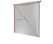 Leinwand Professional 6