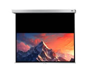Leinwand Professional Plus 2
