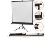 Stativleinwand Economy 6