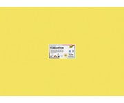Tonkarton 220 g/m² 50 x 70 cm 100 Bogen 10 Farben 1