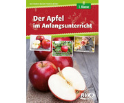 Der Apfel im Anfangsunterricht 1