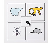 Kartenspiel: Was ist falsch? 4