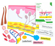 Betzold Die Haut magnetisches Tafelmaterial 1