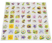 Natur Memo Wiese 3