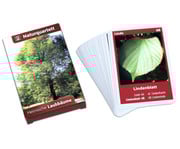 Naturquartett Heimische Laubbäume 1