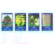 Naturquartett Heimische Laubbäume 3