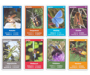 Naturquartett Heimische Insekten 2