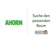 Tellimero Baumarten Domino 2