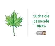 Tellimero Baumarten Domino 4