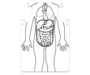 Organ Schürze zum Selbstgestalten 1