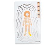 Betzold Lagenpuzzle Anatomie 7