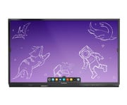 Promethean ActivPanel Nickel 2