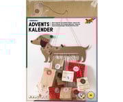 Adventskalender Sausage Dog 1