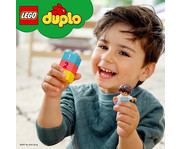 LEGO® DUPLO® Steinebox 6