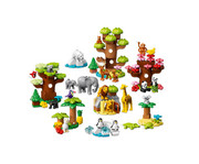 LEGO® DUPLO® Wilde Tiere der Welt 1