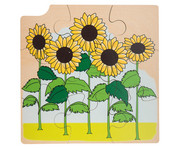 Wachstums Puzzle Sonnenblume 1