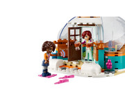 LEGO® Friends Ferien im Iglu 4