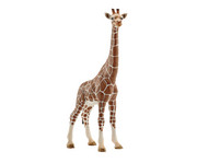 schleich® Giraffe 1