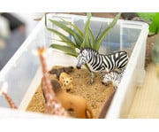 schleich® Safari Tiere 11er Set 5