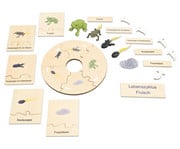 Betzold Lebenszyklen Set 2