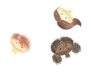 GIOTTO Stilnovo Skin Tones 3