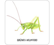 Expedition Natur – Das große Insekten Memo 6