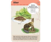 Expedition Natur – 50 Tierspuren 3