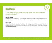 Methoden für erfolgreiche Teamsitzungen und Elternabende Bildkarten 4